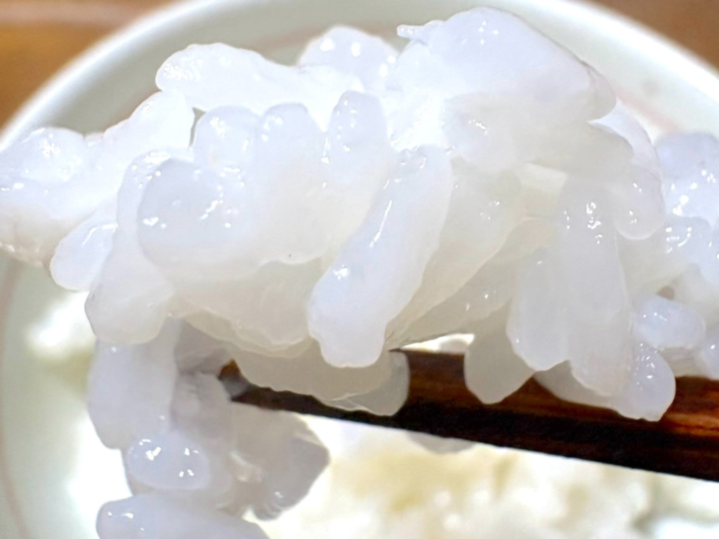 希少米「いのちの壱」をお茶碗からお箸で持ち上げた正に食べる直前の視線画像です。コシヒカリの1.5倍の大きさの粒が光り輝いて見えます。欠けたり割れたりせず、照り輝くその様は、食べる前から瑞々しさや甘さを感じるほどです。